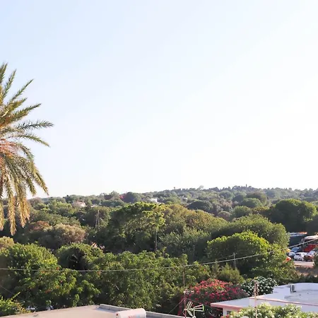 The Sky Yard Eclectic