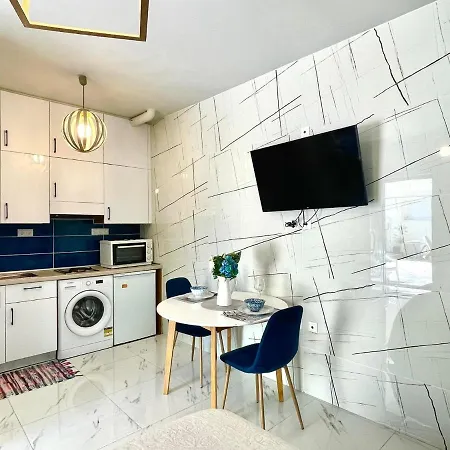 The Sky Yard Eclectic