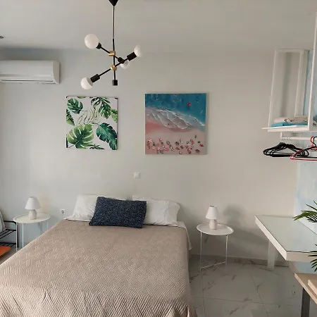 The Sky Yard Eclectic