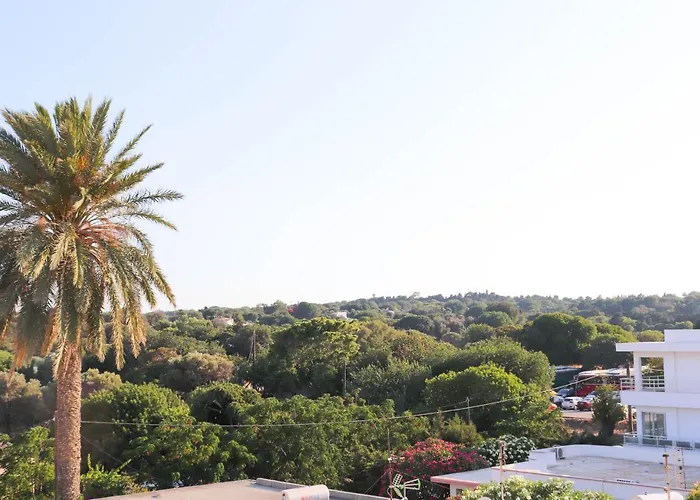 The Sky Yard Eclectic