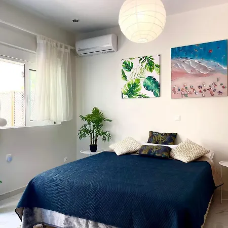 The Sky Yard Eclectic