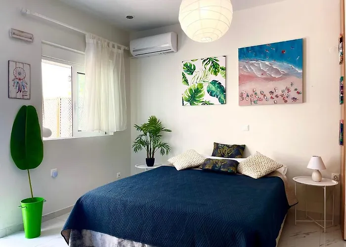 The Sky Yard Eclectic